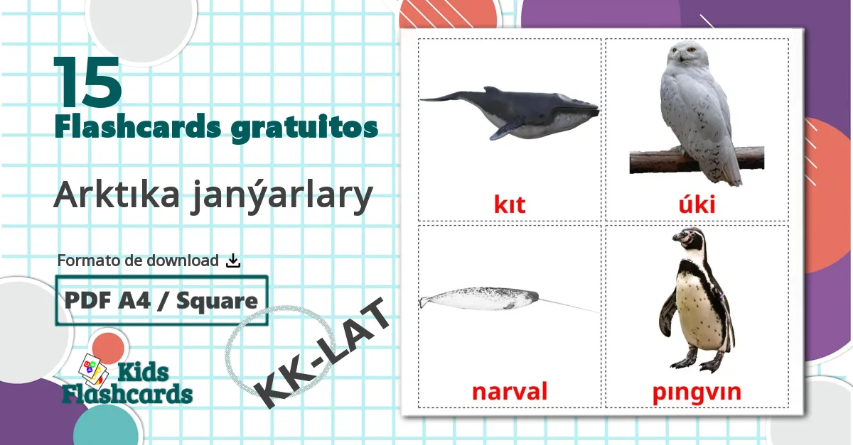 15 Flashcards de Arktıka janýarlary