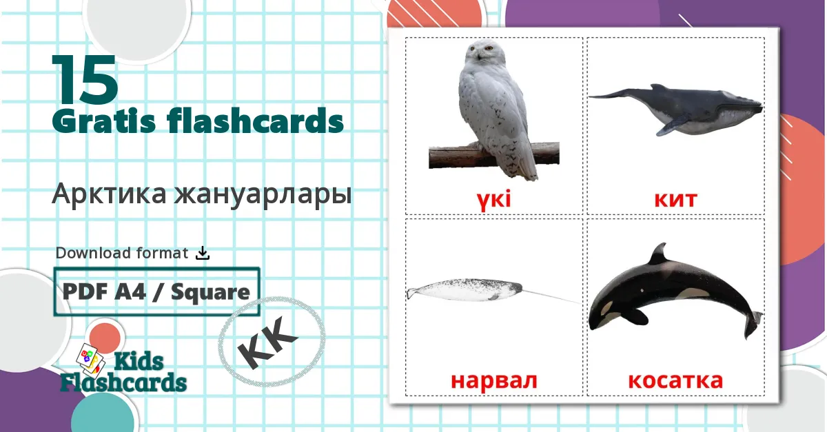15 Арктика жануарлары billedkort for børn