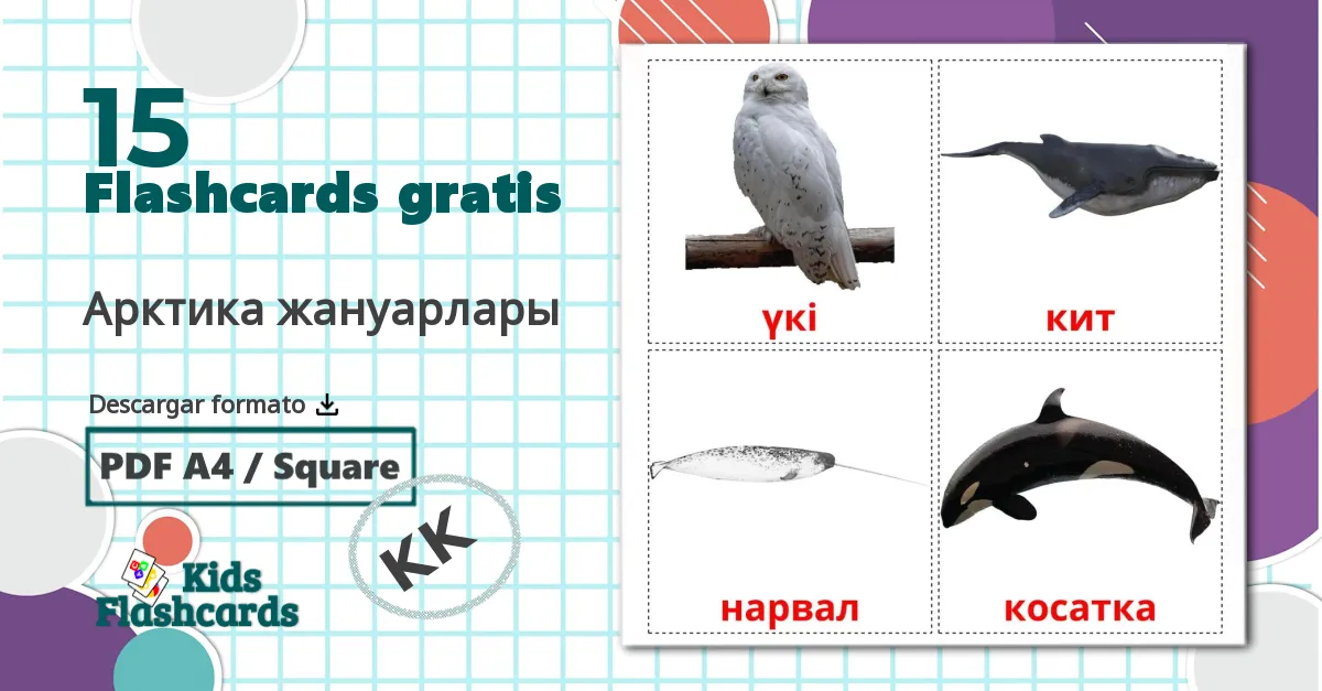 15 tarjetas didacticas de Арктика жануарлары