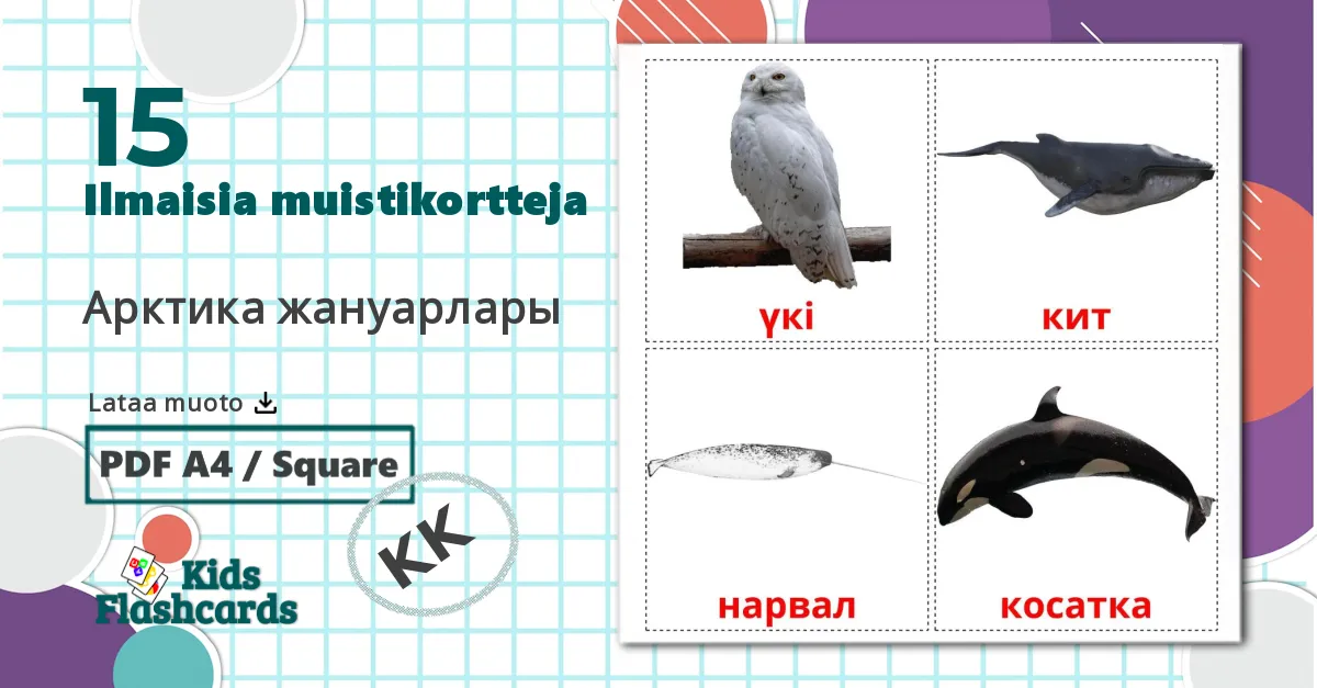 15 Арктика жануарлары lasten kuvakortit