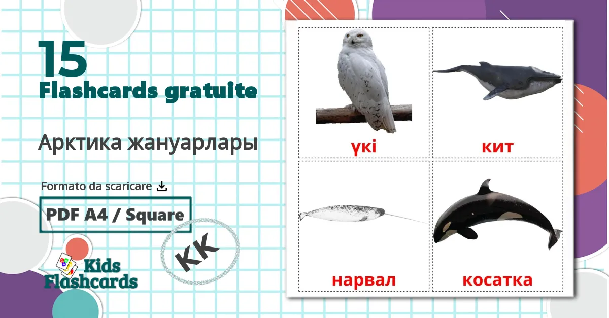 15 flashcards di Арктика жануарлары