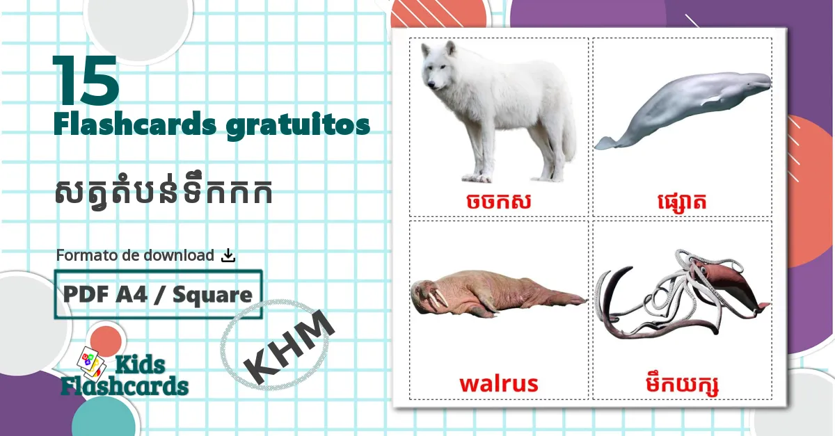 15 Flashcards de Animais do Ártico