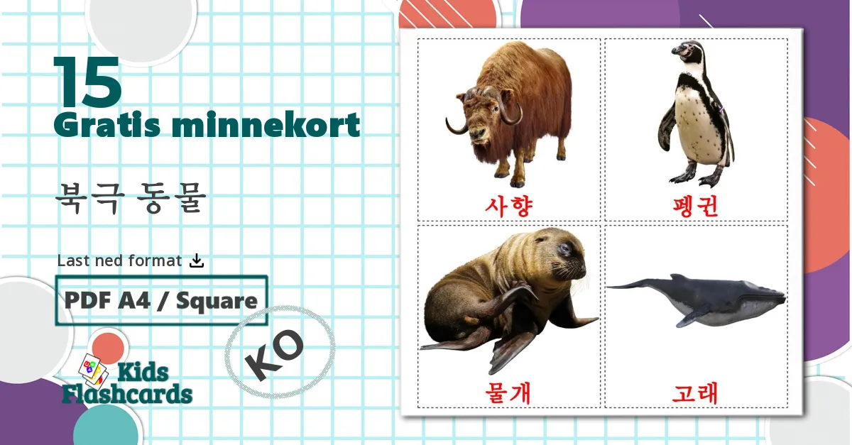 15 북극 동물 bildekort