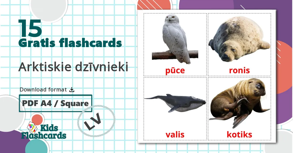 15 Arktiskie dzīvnieki billedkort for børn