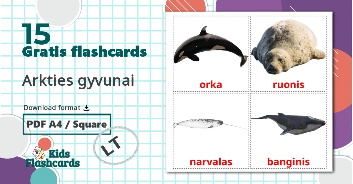 15 Arkties gyvunai billedkort for børn
