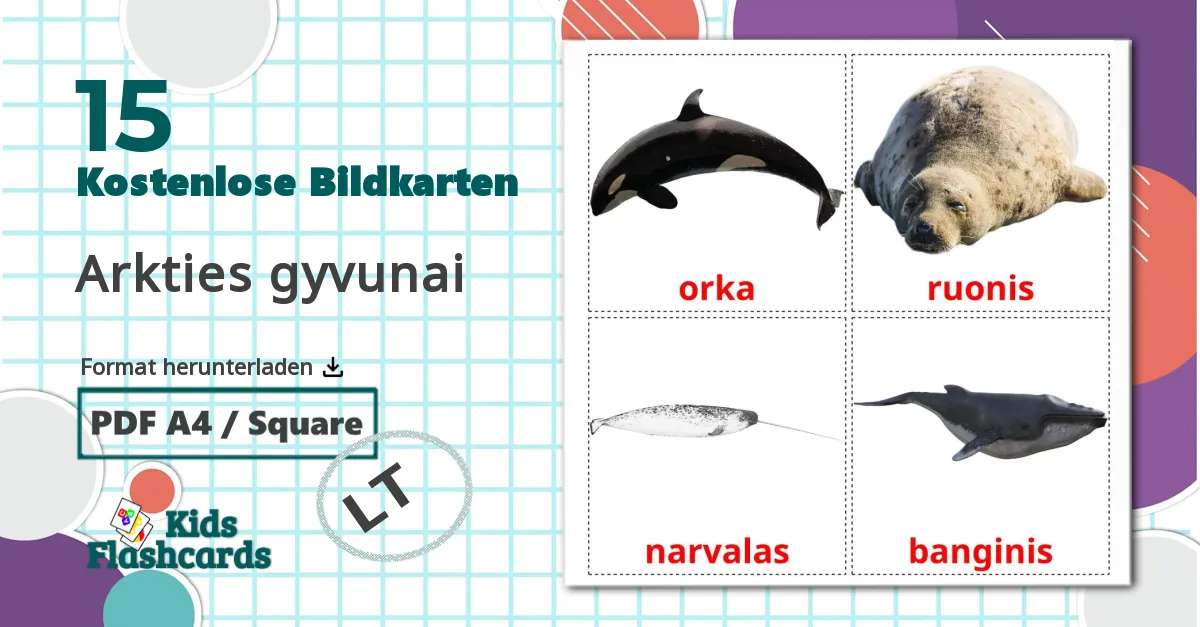 15 Bildkarten für Arkties gyvunai