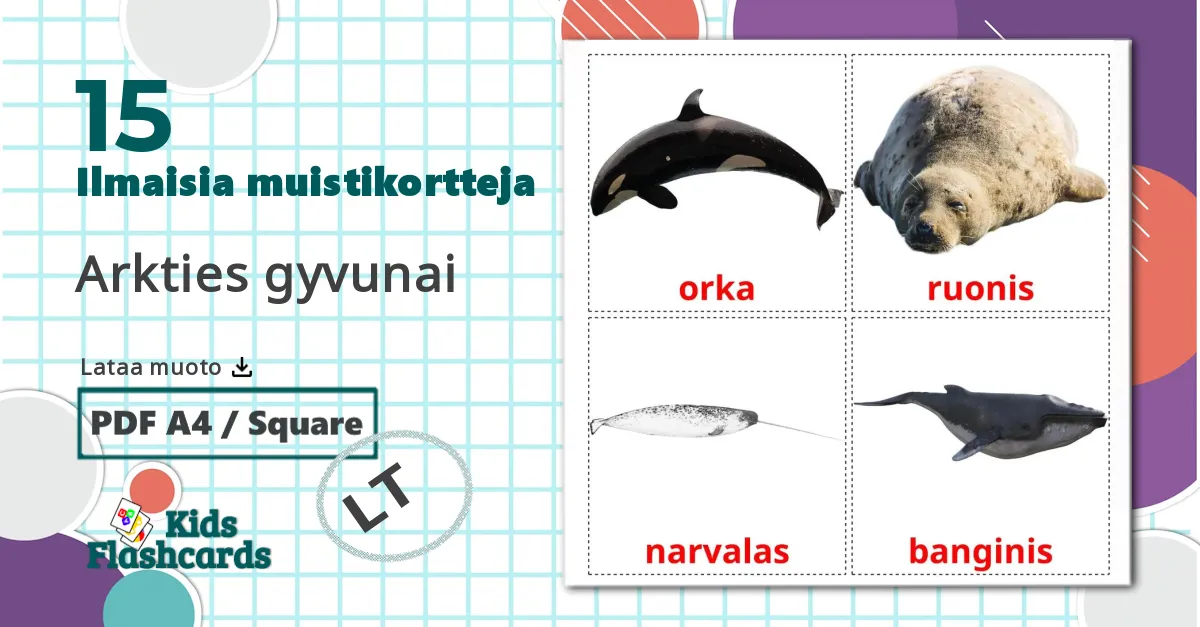 15 Arkties gyvunai lasten kuvakortit
