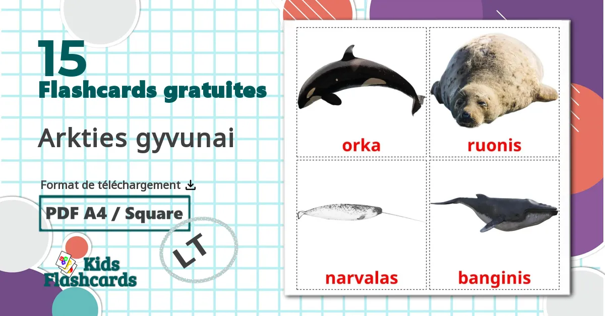 15 Imagiers Arkties gyvunai