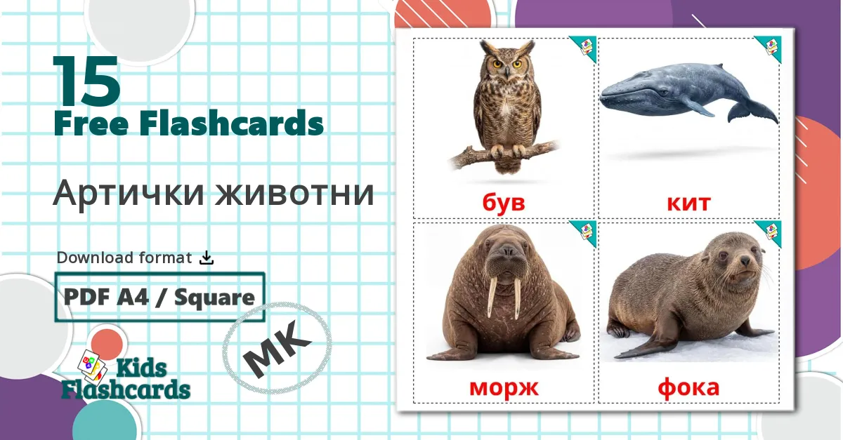 14 Free Arctic Animals Flashcards In English PDF Files 