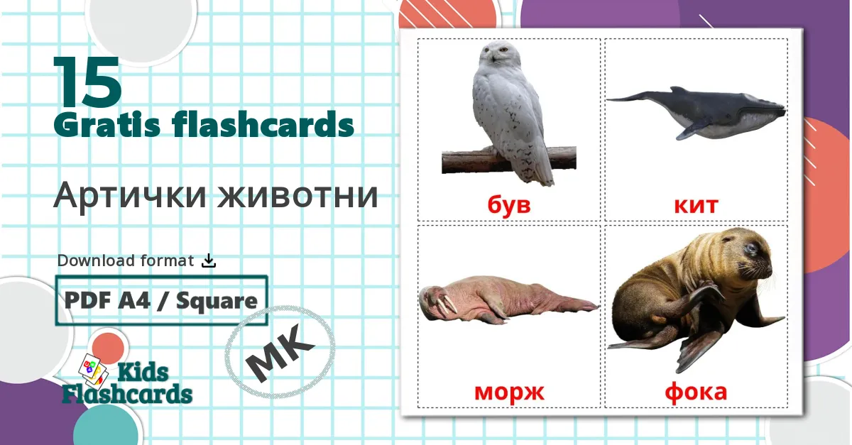 15 Артички животни billedkort for børn