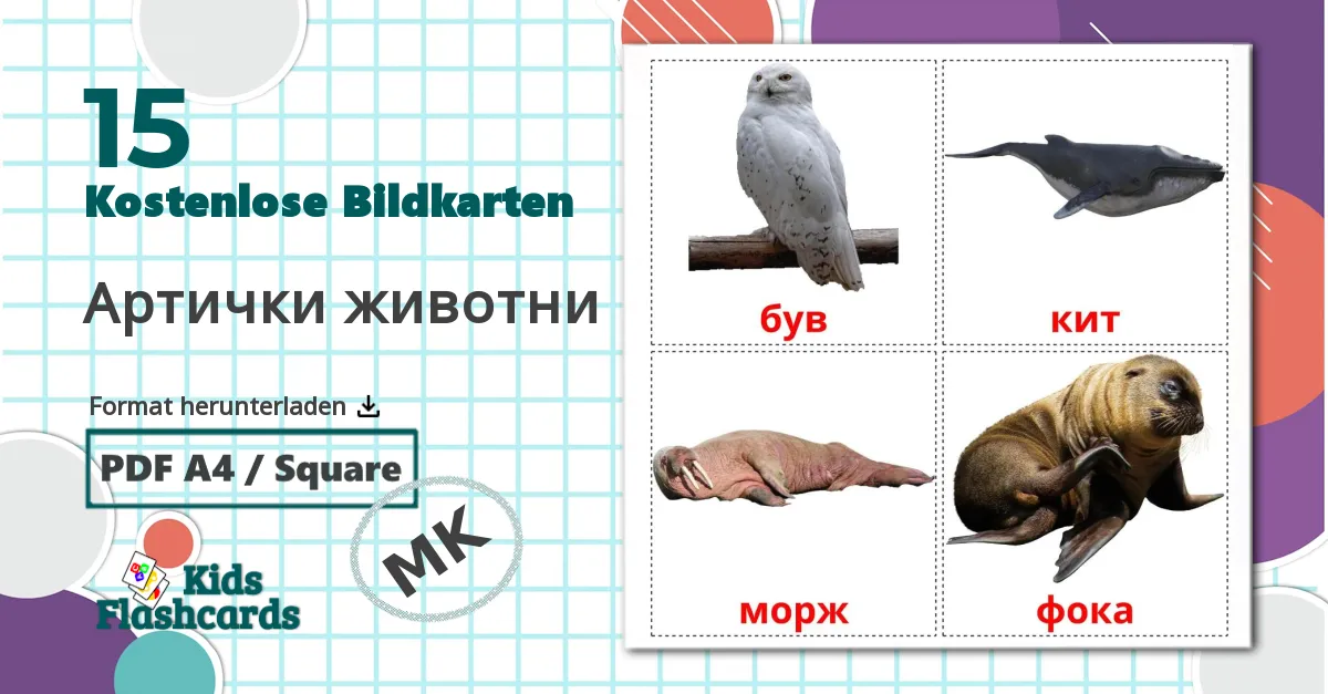 15 Bildkarten für Артички животни