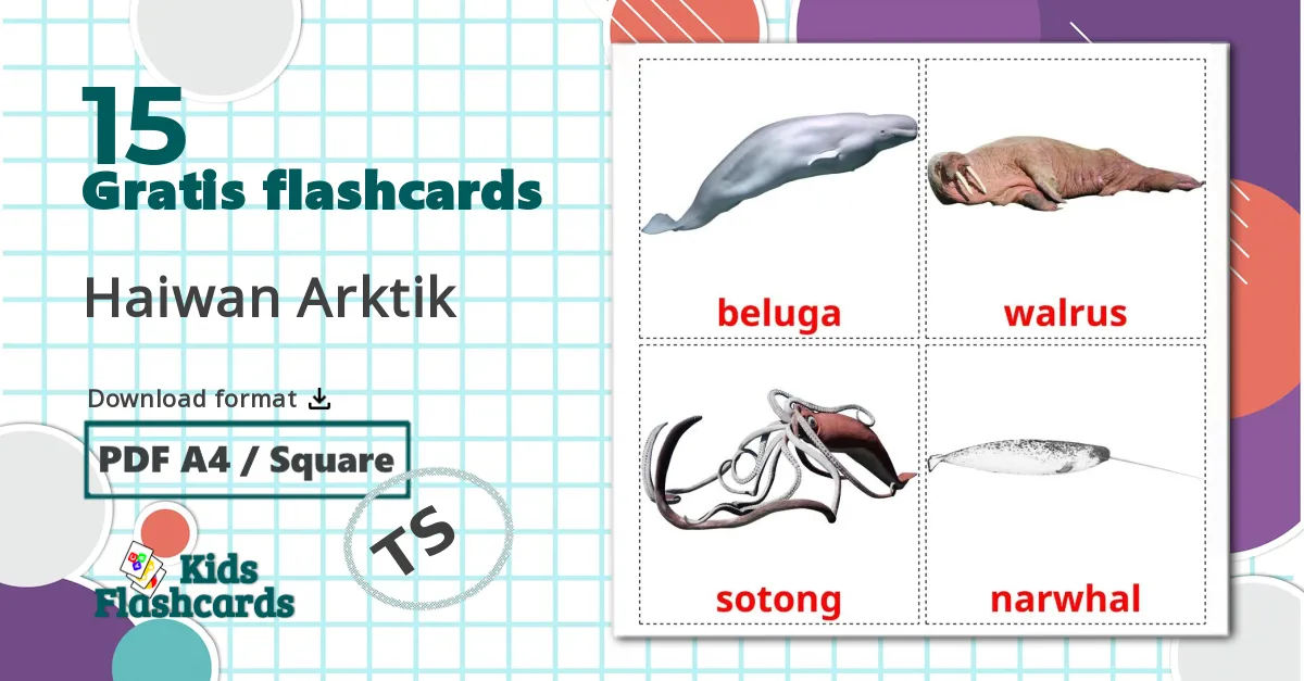 15 Haiwan Arktik billedkort for børn