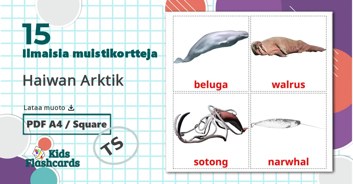 15 Haiwan Arktik lasten kuvakortit