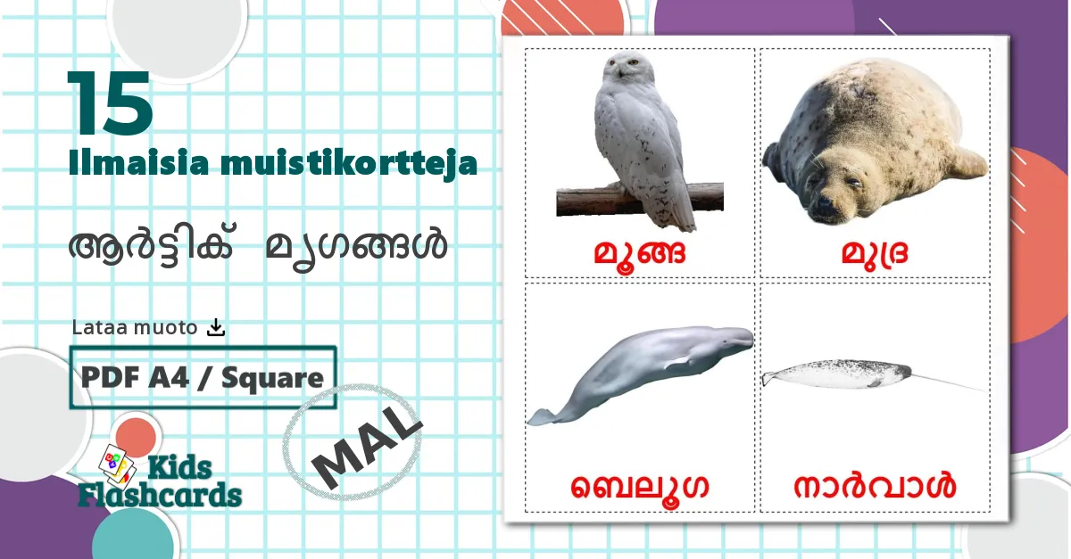 15 ആർട്ടിക് മൃഗങ്ങൾ lasten kuvakortit