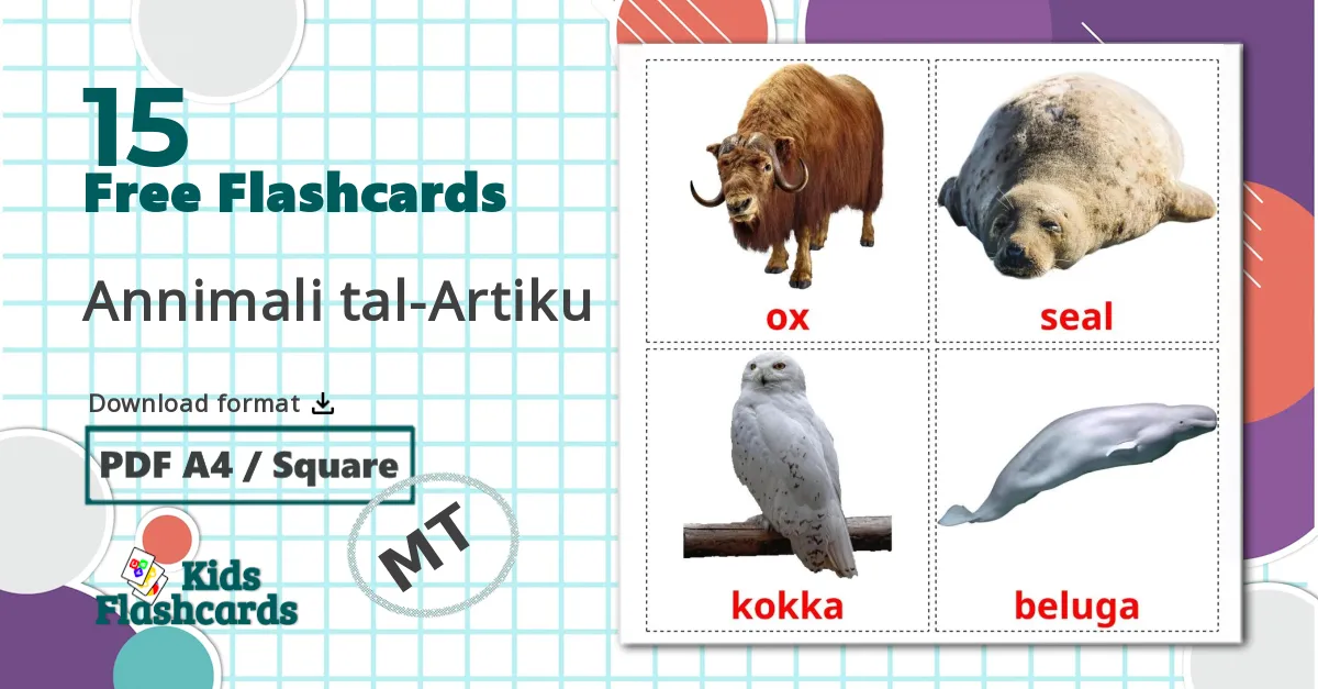 15 Annimali tal-Artiku flashcards