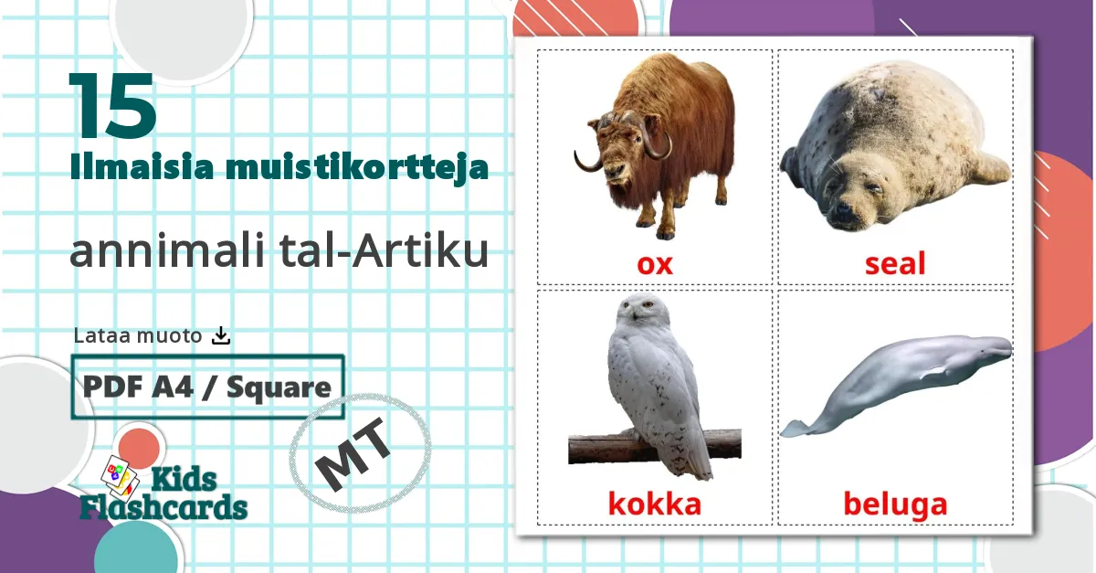 15 Arktiset eläimet lasten kuvakortit