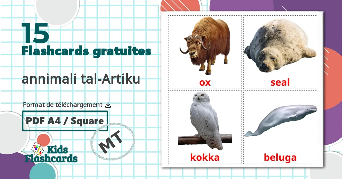 15 Imagiers Les Animaux de l'Arctique