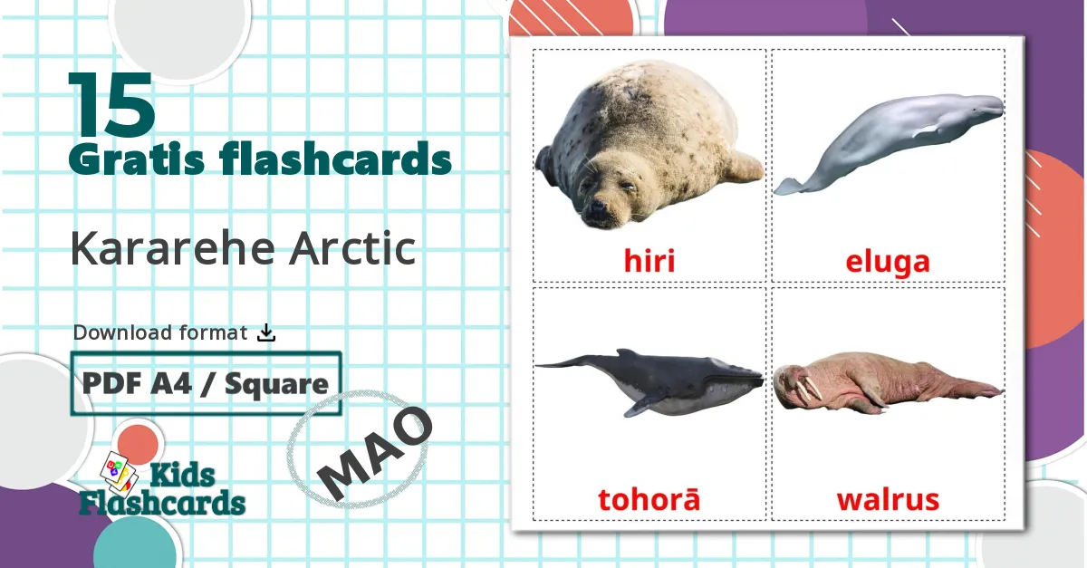 15 Kararehe Arctic billedkort for børn