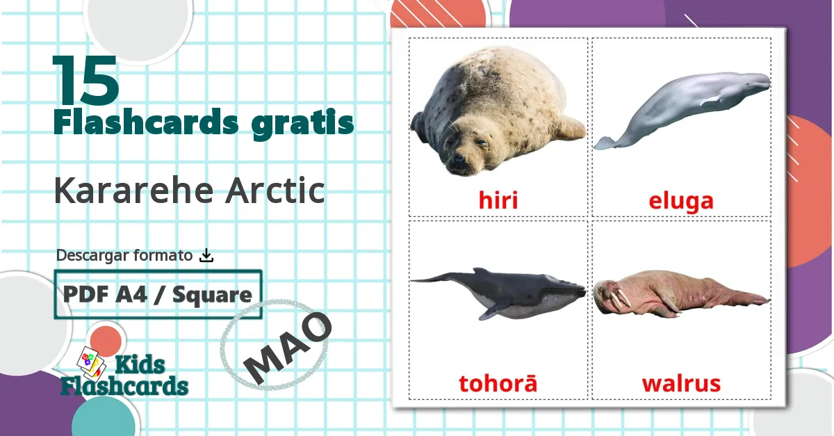 15 tarjetas didacticas de Kararehe Arctic