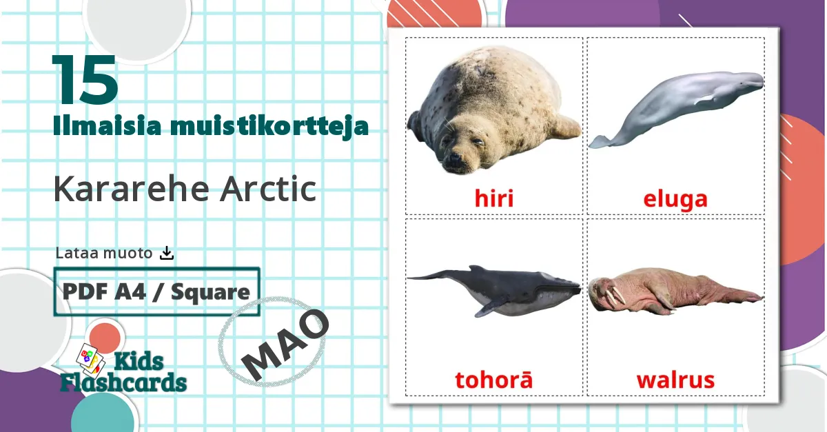 15 Kararehe Arctic lasten kuvakortit
