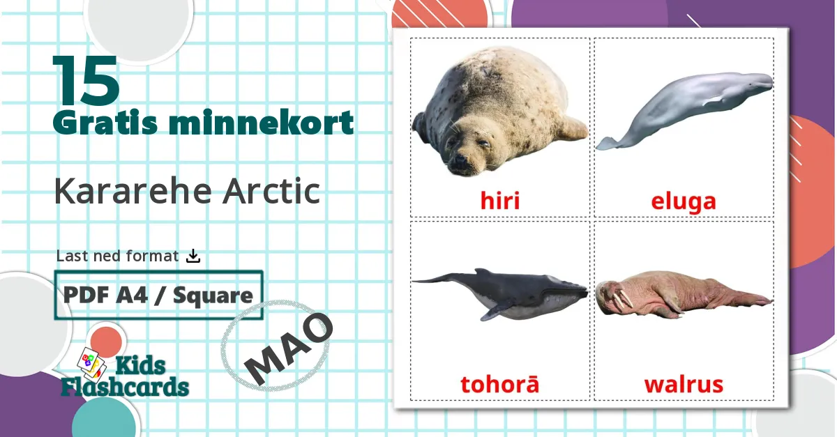 15 Kararehe Arctic bildekort