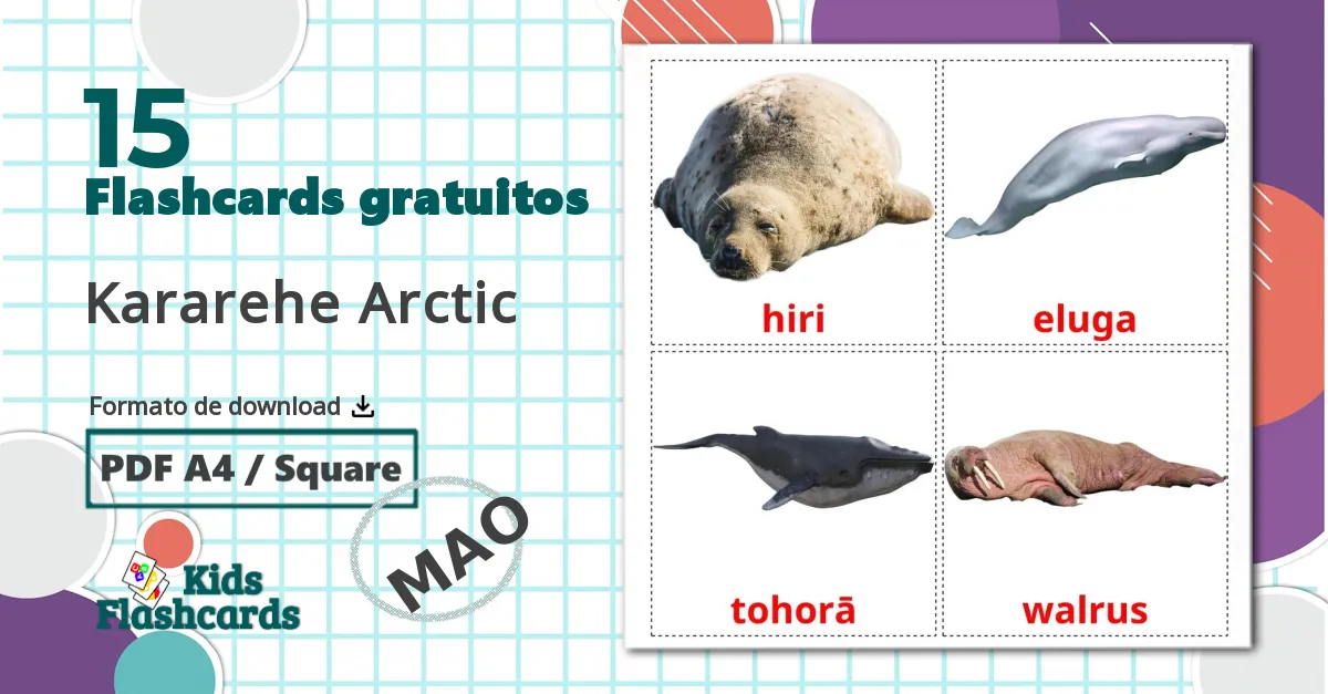 15 Flashcards de Kararehe Arctic