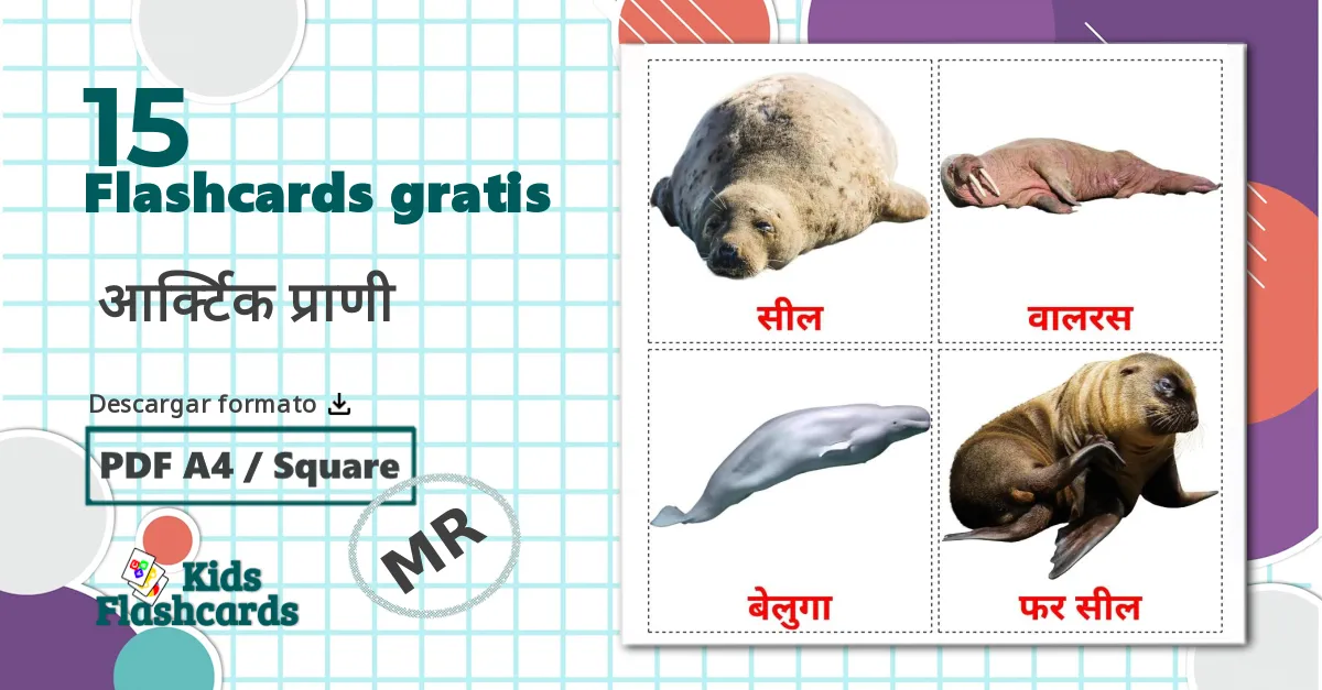 15 tarjetas didacticas de Opositivos