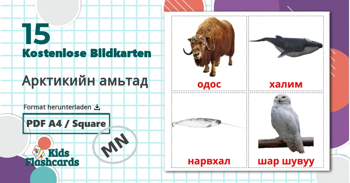 15 Bildkarten für Арктикийн амьтад