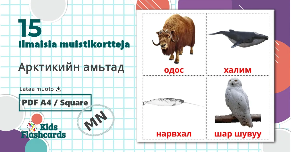 15 Арктикийн амьтад lasten kuvakortit