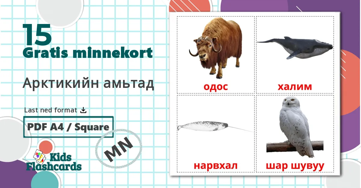 15 Арктикийн амьтад bildekort