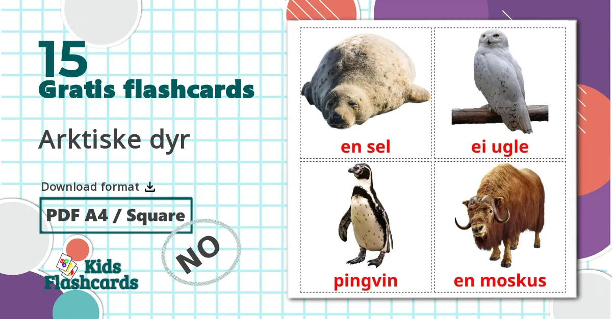 16 Arktiske dyr bildekort