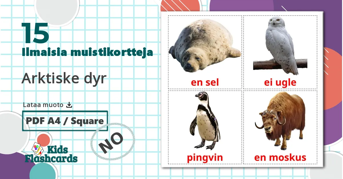 15 Arktiske dyr lasten kuvakortit