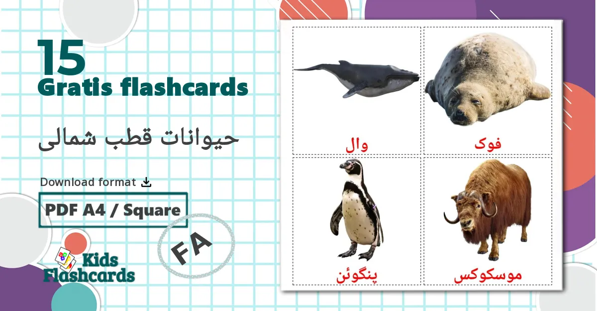 15 حیوانات قطب شمالی billedkort for børn