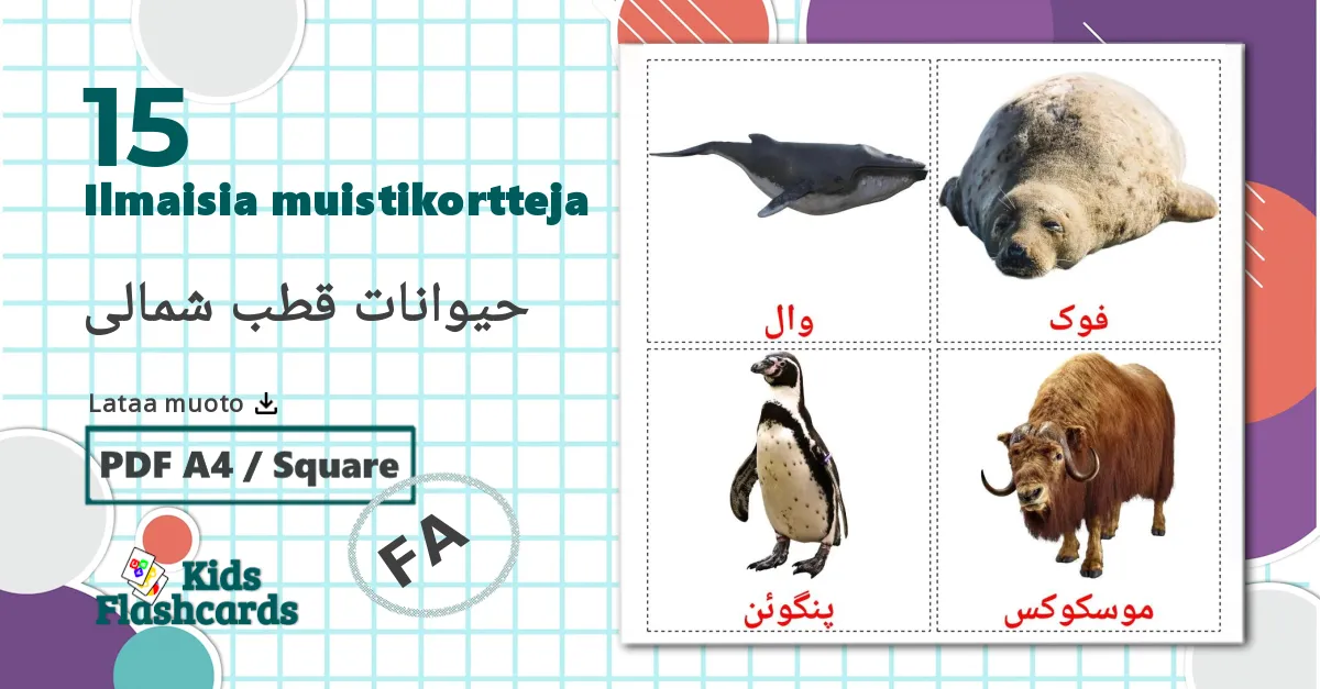 15 حیوانات قطب شمالی lasten kuvakortit