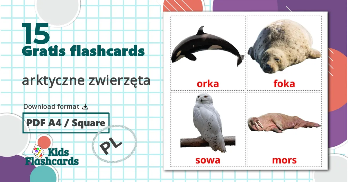 15 arktyczne zwierzęta billedkort for børn