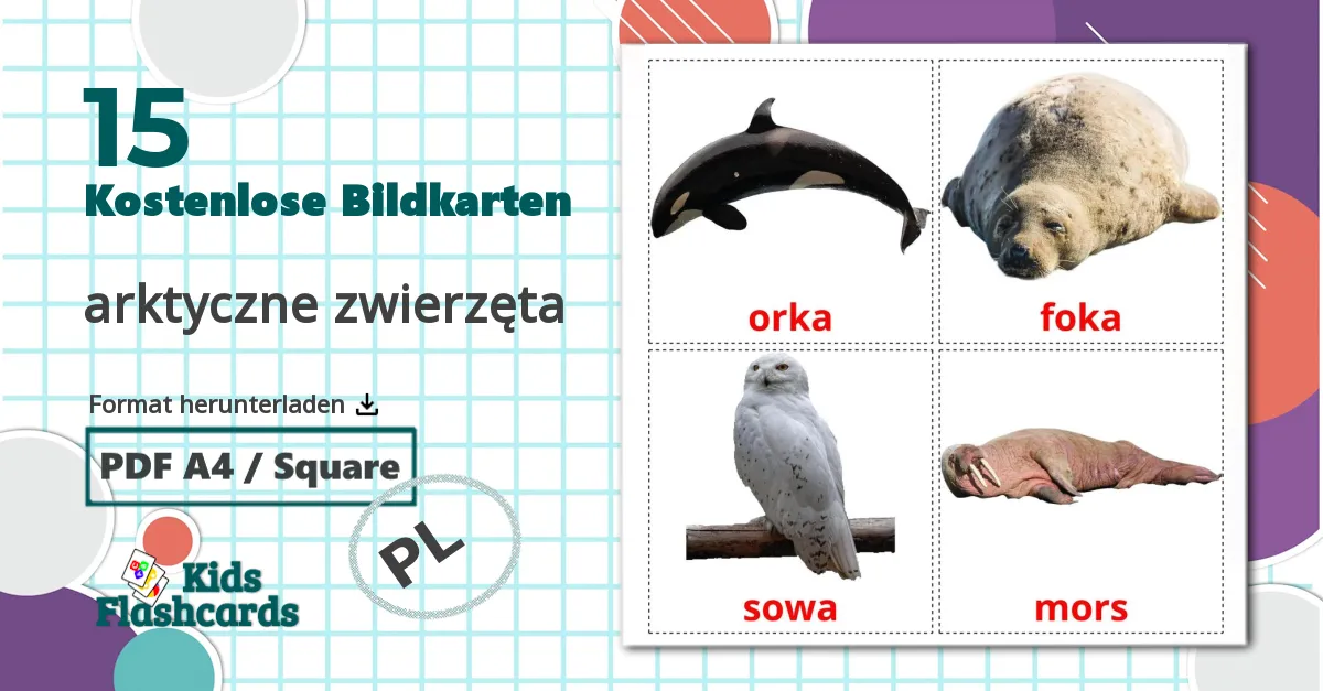 15 Bildkarten für arktyczne zwierzęta