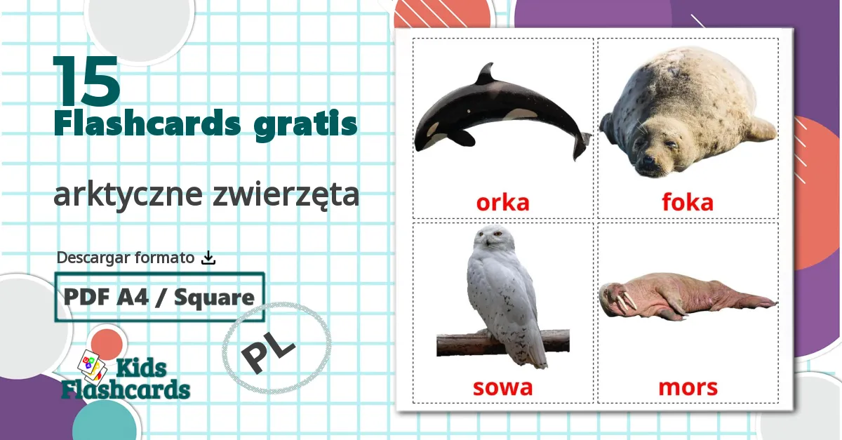 15 tarjetas didacticas de arktyczne zwierzęta