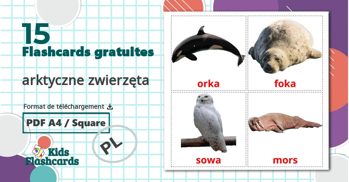 15 Imagiers arktyczne zwierzęta