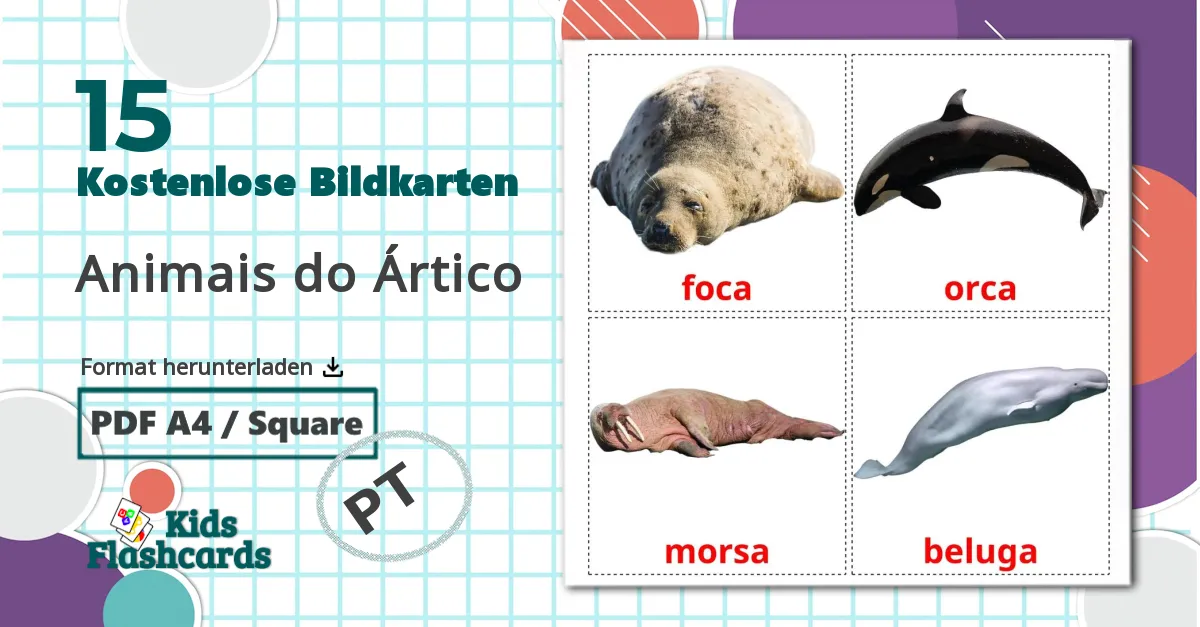 15 Bildkarten für Animais do Ártico