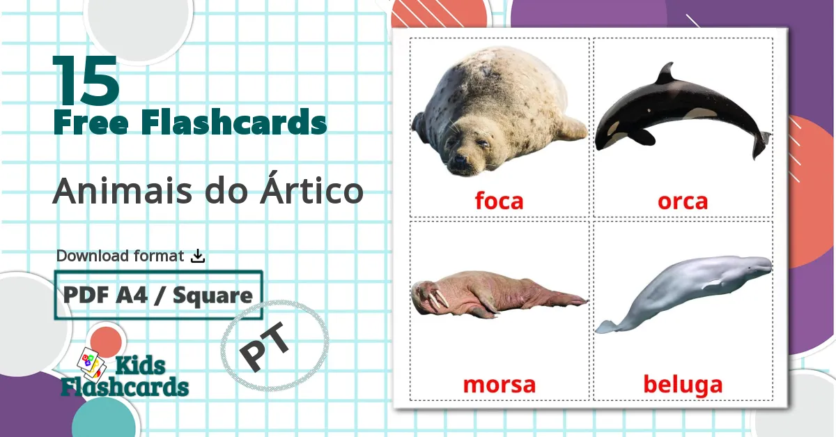 15 Animais do Ártico flashcards