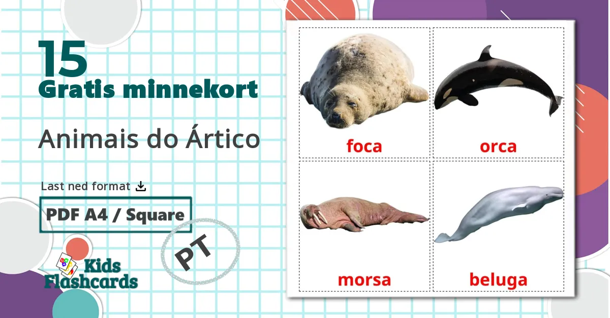 15 Animais do Ártico bildekort