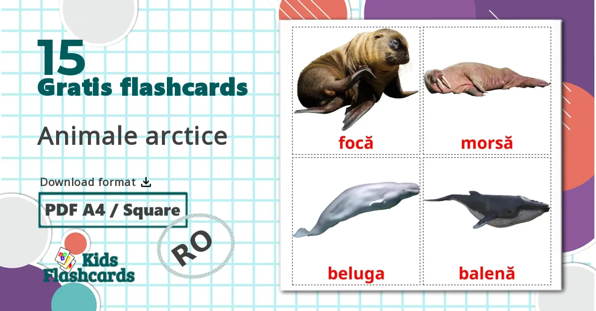 15 Animale arctice billedkort for børn