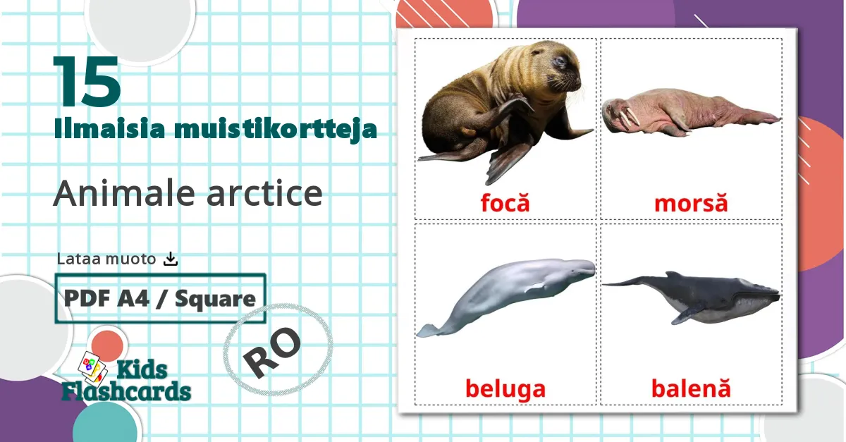 15 Animale arctice lasten kuvakortit