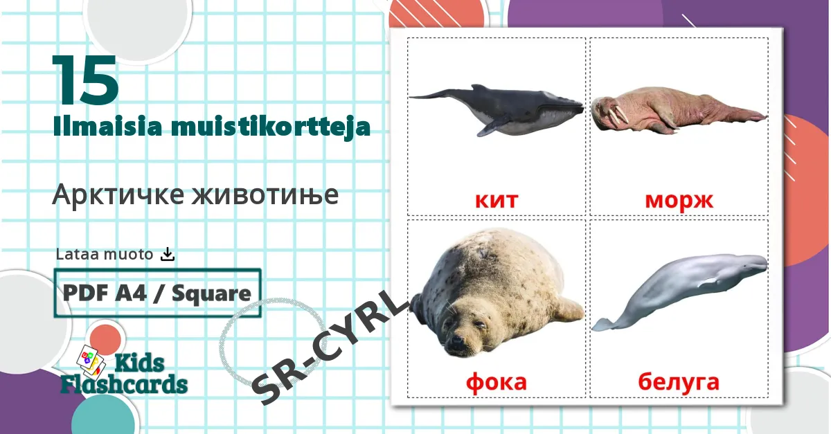 15 Арктичке животиње lasten kuvakortit