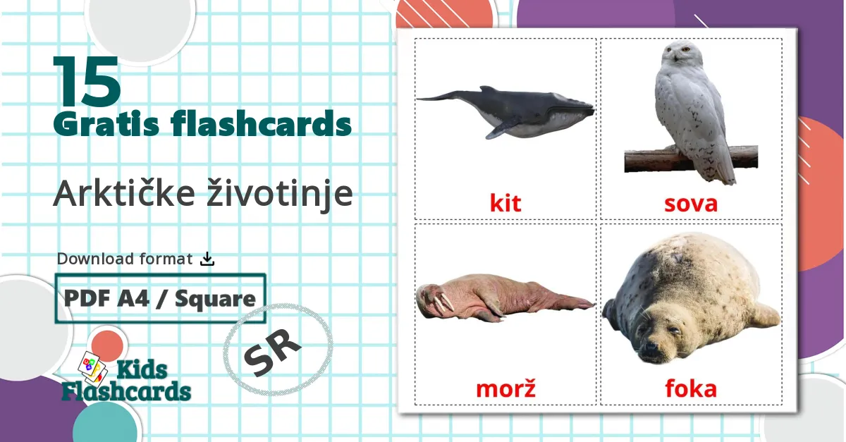 15 Arktičke životinje billedkort for børn
