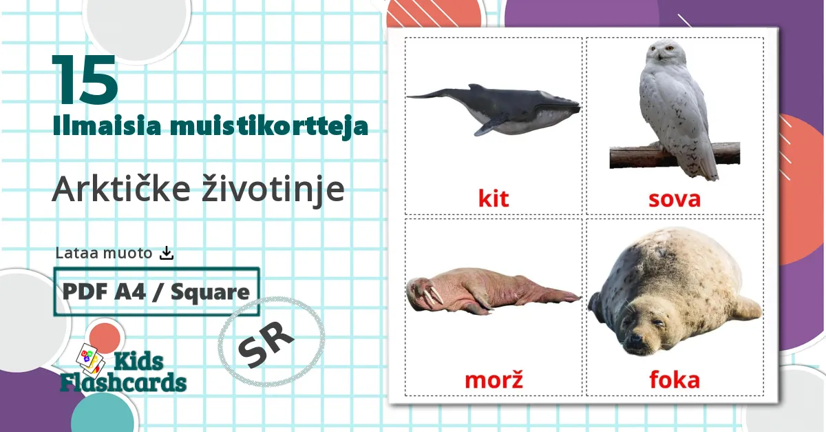 15 Arktičke životinje lasten kuvakortit