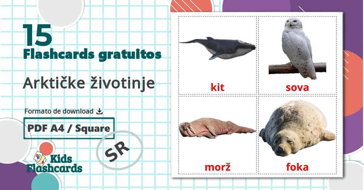 15 Flashcards de Arktičke životinje