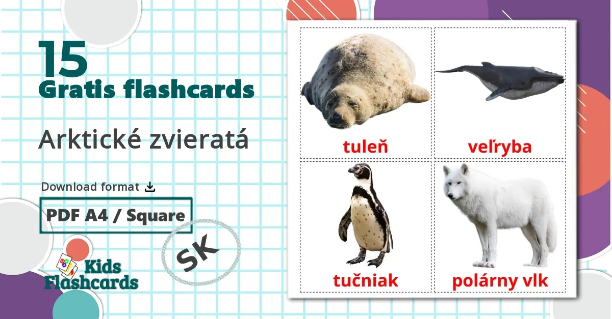 15 Arktické zvieratá billedkort for børn