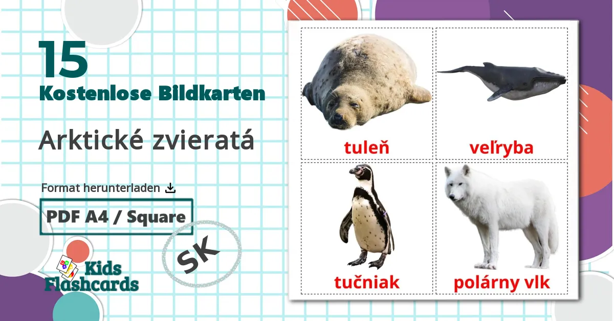 15 Bildkarten für Tiere in der arktis