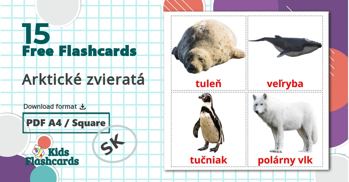 15 Arctic animals flashcards